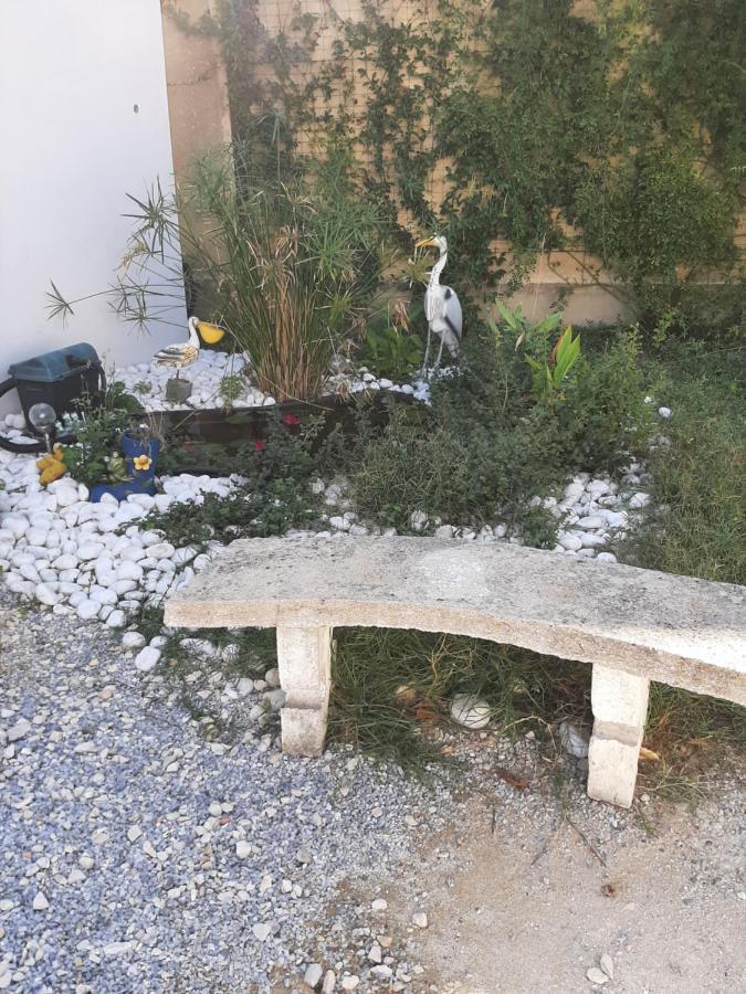 מלון אביניון Chez Monique Et Remi מראה חיצוני תמונה